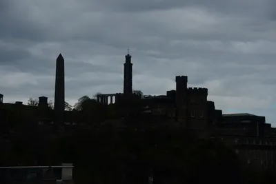 DSC_7316 (Large).JPG